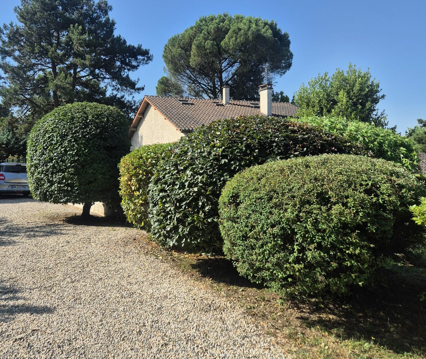 Tailles